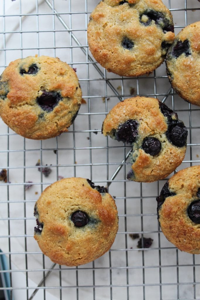 Muffins with blueberries on a cooling rack. 