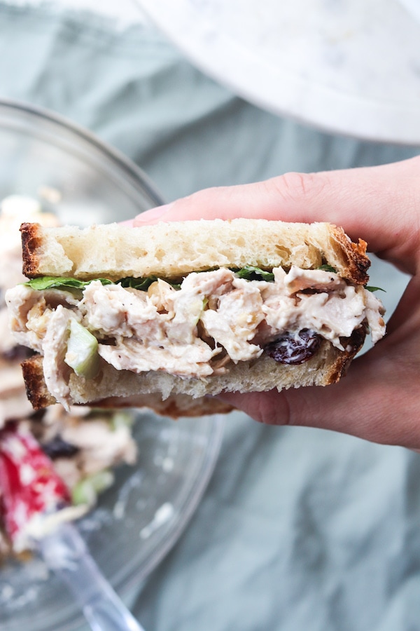 A hand holding a sandwich.