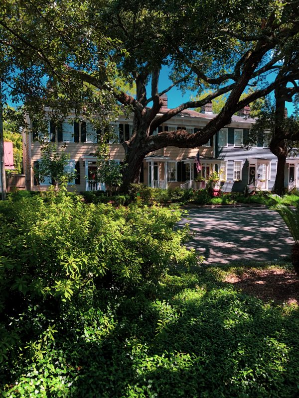 row of houses with trees 